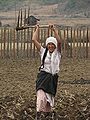 Agriculture-Arunachal-Pradesh.jpg