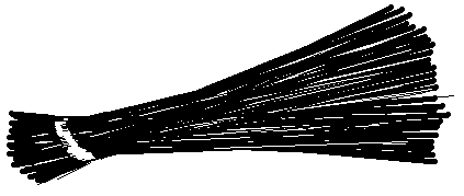 चित्र:AAP Symbol.png
