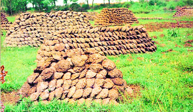 चित्र:Gobar-ke-kande.jpg