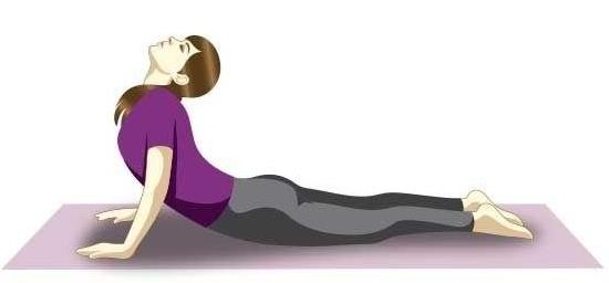 चित्र:Bhujangasana.jpg