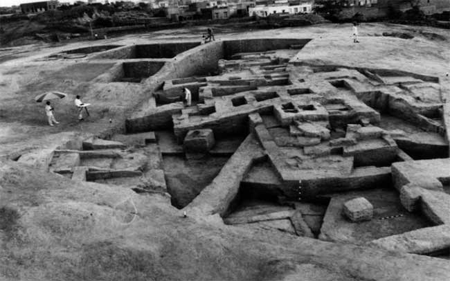 चित्र:Rakhigarhi-05.jpg