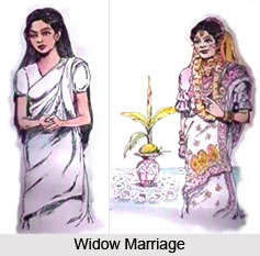 चित्र:Widow-Marriage.jpg