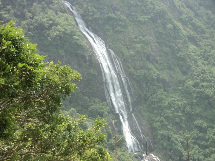 चित्र:Nelliyampathy.jpg