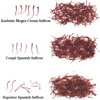 चित्र:Saffron type.gif