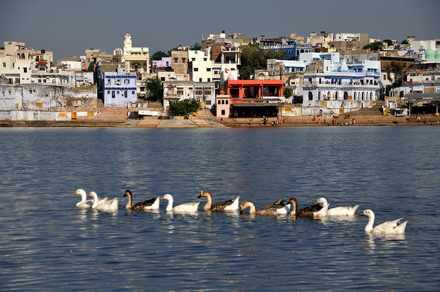 चित्र:Pushkar-lake-Ajmer-3.jpg