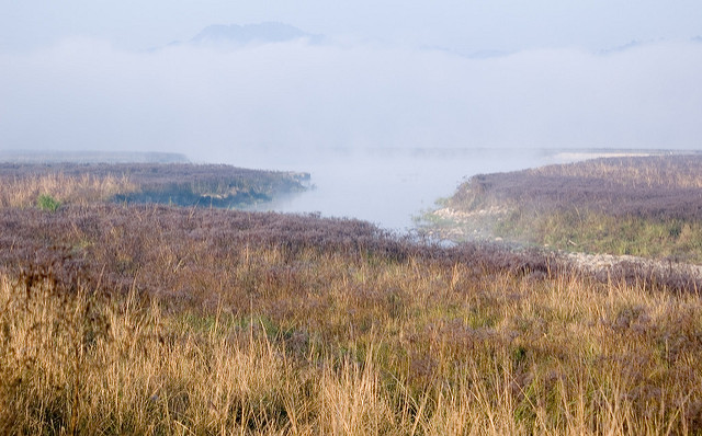 चित्र:Ramganga-River-4.jpg