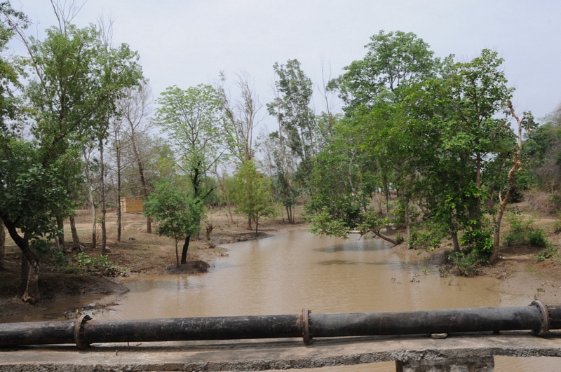 चित्र:Barua-Sagar-Uttar-Pradesh.jpg