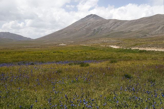 चित्र:Deosai.jpg