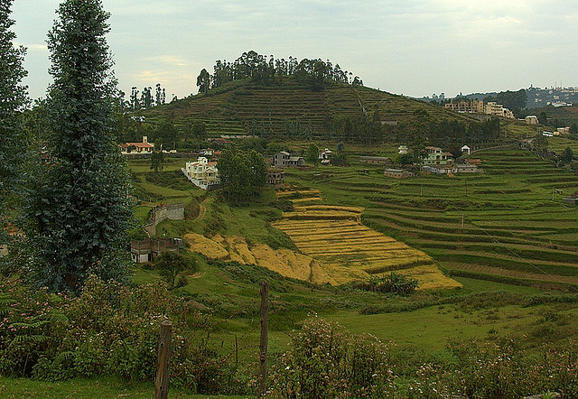 चित्र:Kodaikanal.jpg