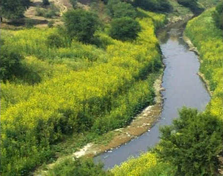 चित्र:Sasur-khaderi-river.jpg