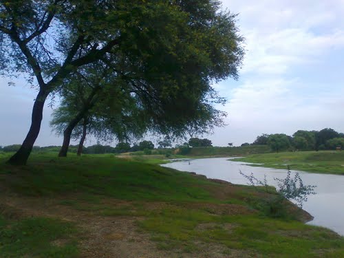 चित्र:Loni river.jpg