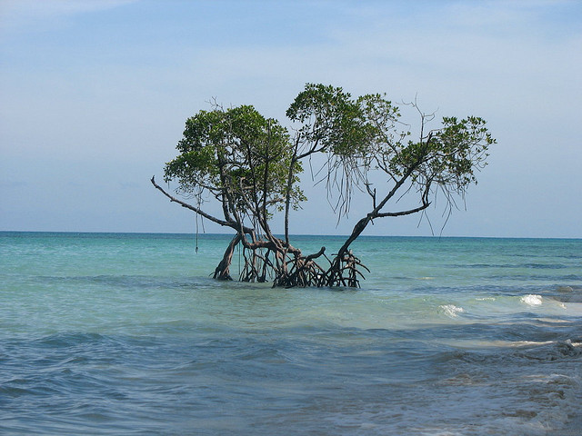 चित्र:Havelock-Island-1.jpg