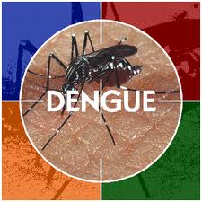चित्र:Dengue.jpg