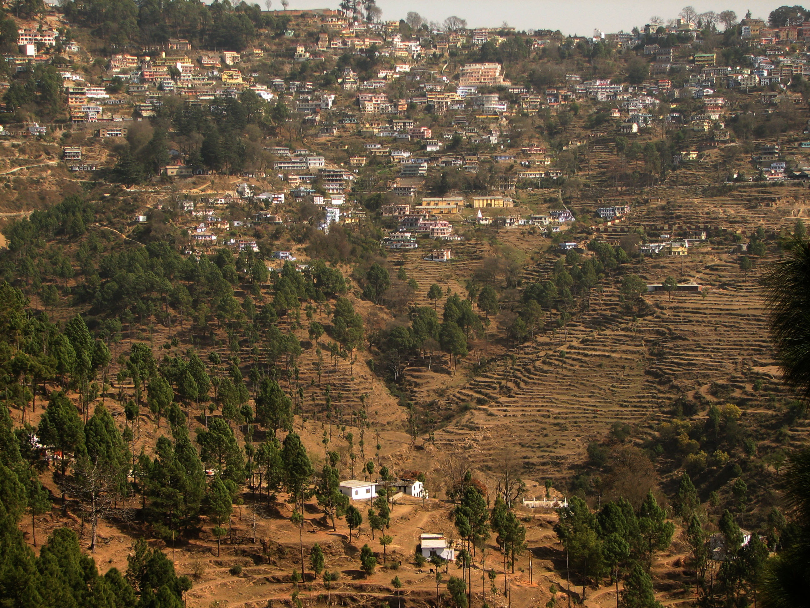अल्मोड़ा का एक दृश्य