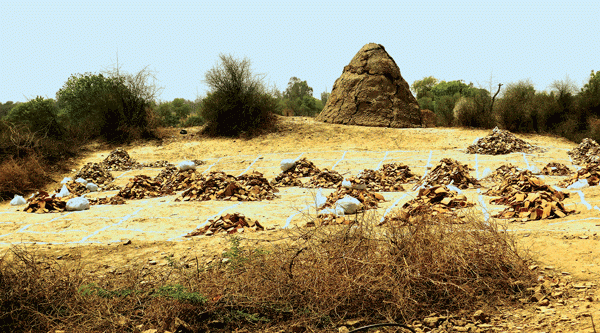 चित्र:Rakhigarhi-03.gif