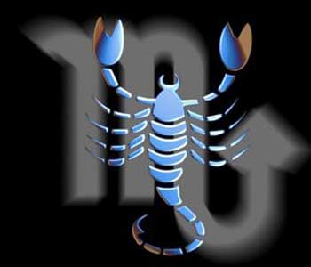 चित्र:Scorpion.jpg