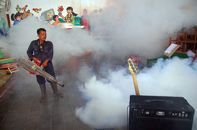 चित्र:Dengue-1.jpg