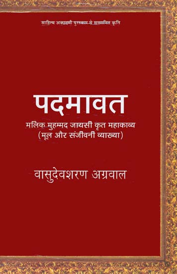 चित्र:Padmavat-3.jpg