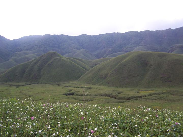 चित्र:Dzuko-Valley.jpg