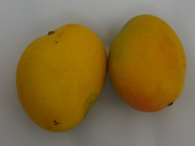 चित्र:Mangoes.jpg