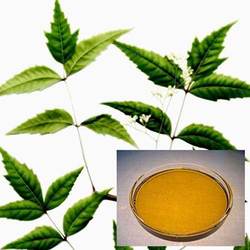 चित्र:Neem oil.jpg