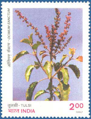 चित्र:TulsiStamp2.jpg