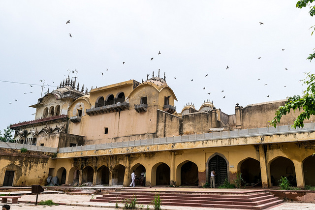 चित्र:Bala-Quial-Alwar-2.jpg