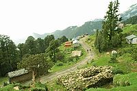 चोपता का एक दृश्य
