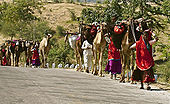पारम्परिक बंजारे, गुजरात