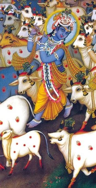 चित्र:Shri krishna1.jpg