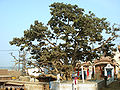 12:16, 15 अप्रैल 2010 के संस्करण का थंबनेल संस्करण