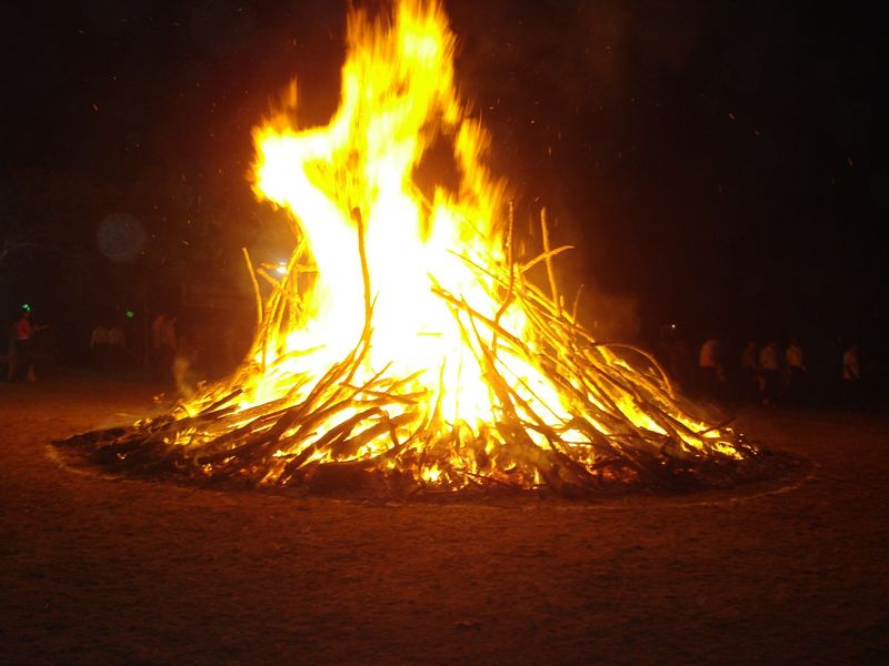 चित्र:Holika-Dahan.jpg