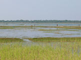Chilika-Lake-5.jpg