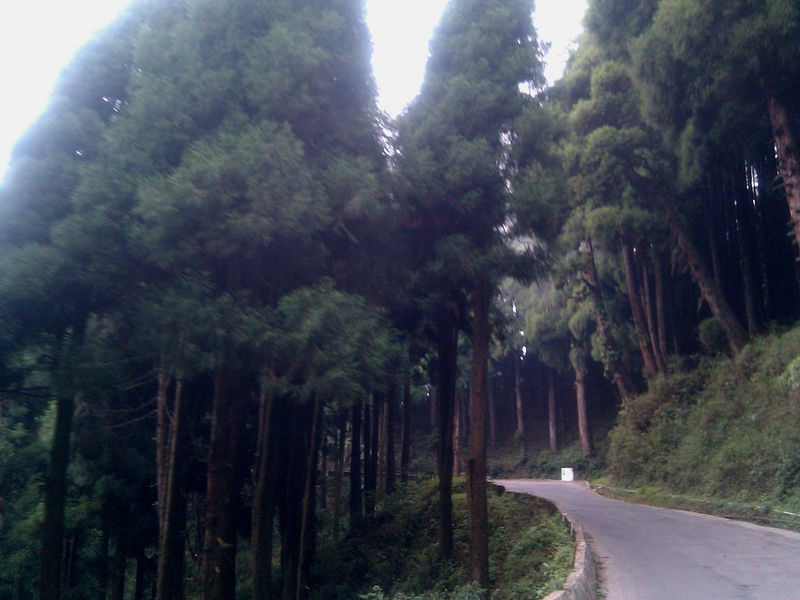 चित्र:Mirik-3.jpg