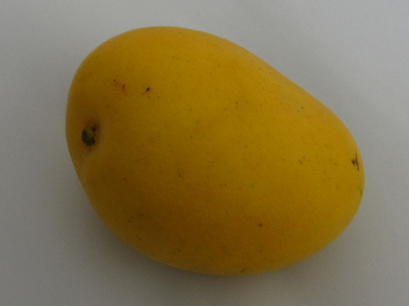 चित्र:Mango-1.jpg