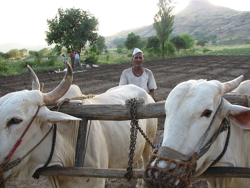 चित्र:Indian-Farmer.jpg