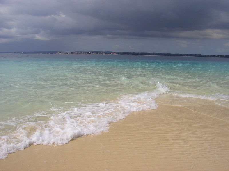 चित्र:Indian-Ocean-3.jpg