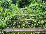 Coorg.jpg