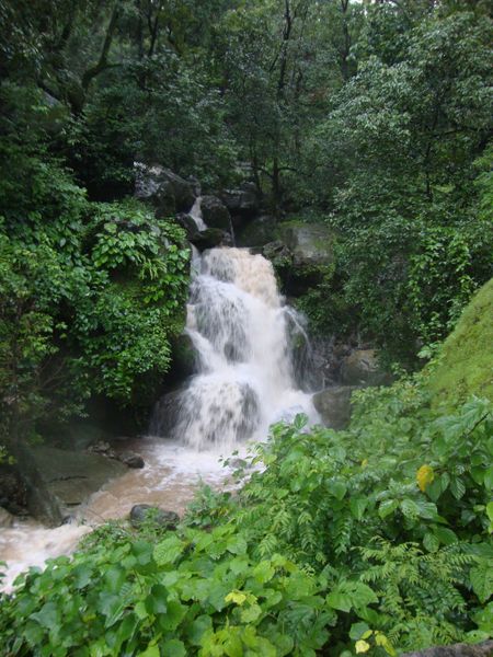 चित्र:Haldwani-10.jpg