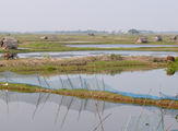 Chilika-Lake-8.jpg