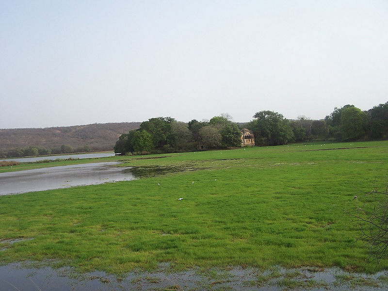 चित्र:Ranthambore-National-Park-1.jpg