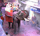 होली, होली दरवाज़ा, मथुरा Holi, Holi Gate, Mathura