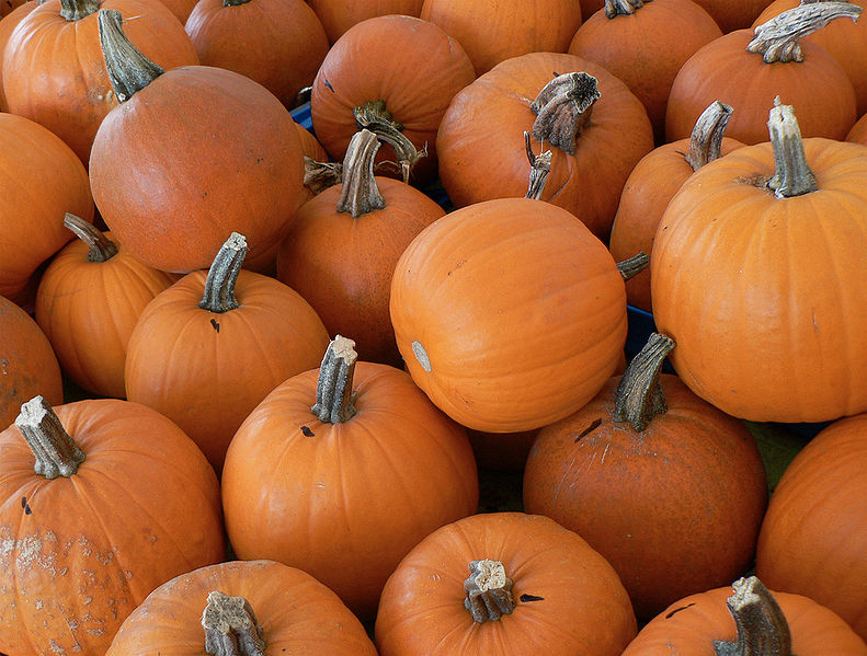 चित्र:Pumpkin-1.jpg