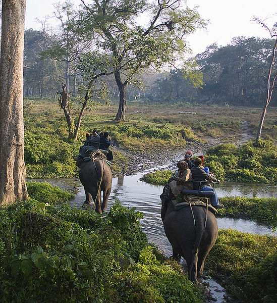चित्र:Elephant-Ride-At-Jaldapara-Wildlife-Sanctuary.jpg