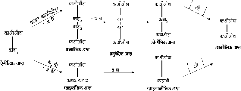 चित्र:Aksalik-Acid.gif