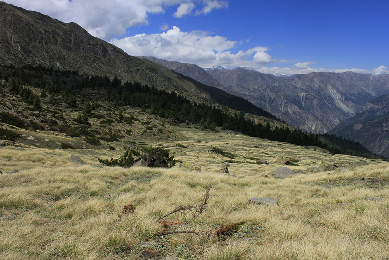 चित्र:Kalpa-5.jpg