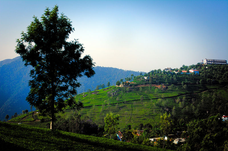 चित्र:Coonoor-4.jpg