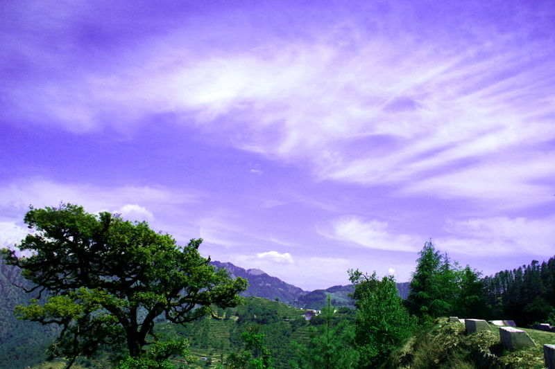 चित्र:Dhanaulti-3.jpg