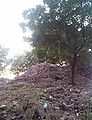 विषहरी देवी मंदिर के अवशेष