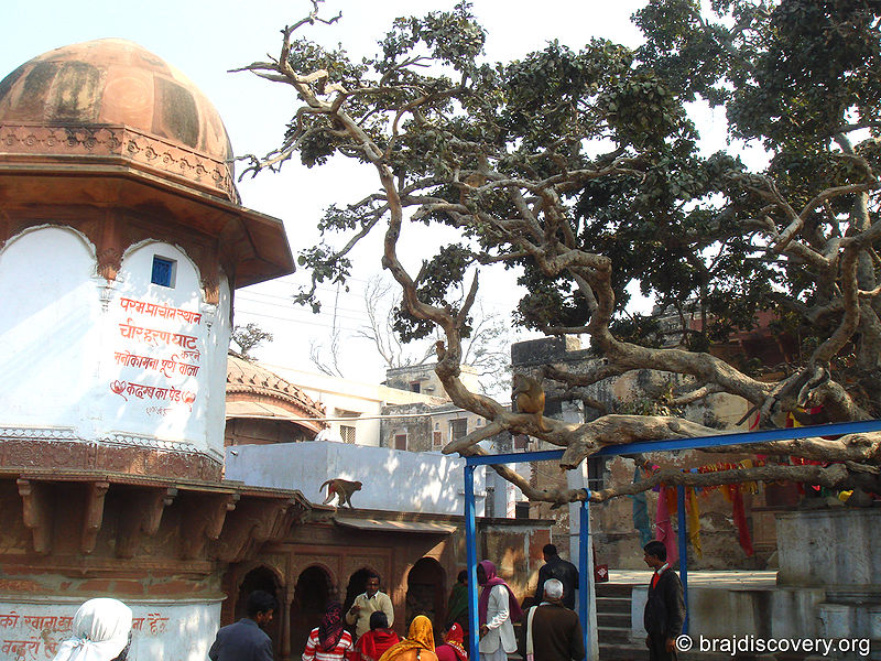 चित्र:Cheer-Ghat-Vrindavan-1.jpg